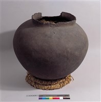 藏品(大陶壺)的圖片